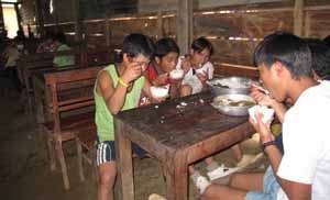 Hàng ngàn học sinh bỏ học đi hái đót