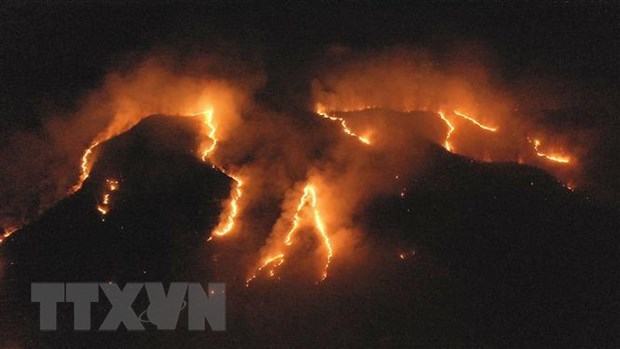 Hàng trăm đám cháy mới lại bùng lên ở khu vực rừng Amazon