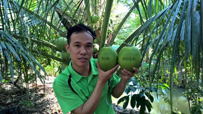 Hành trình của chàng trai làm nên thương hiệu “dừa Phú Quý” 