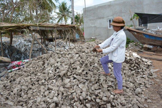 Hàu chết la liệt, bà con nông dân Bến Tre chết đứng  