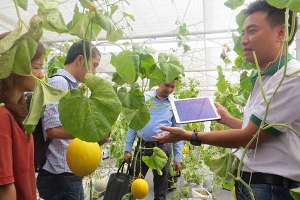 Xây dựng nông thôn mới tại TP.HCM: Đến năm 2020, thu nhập bình quân thấp nhất 63 triệu đồng/ người