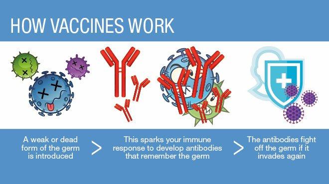 Việc sử dụng virus để chống lại chính căn bệnh do chúng gây ra đã được sử dụng từ lâu.