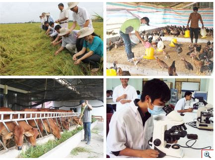 Hội thảo Quốc tế Việt Nam-Hungary lần 9