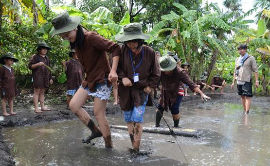 Nhiều hoạt động hè thú vị