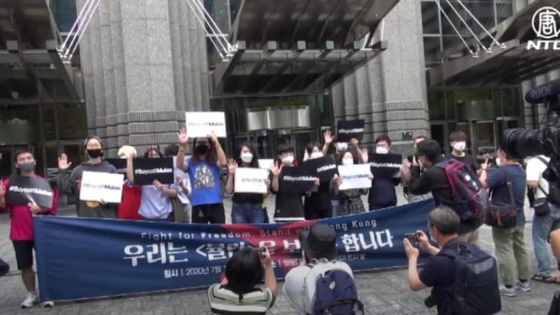 Một số nhóm biểu tình phản đối phim Hoa Mộc Lan.