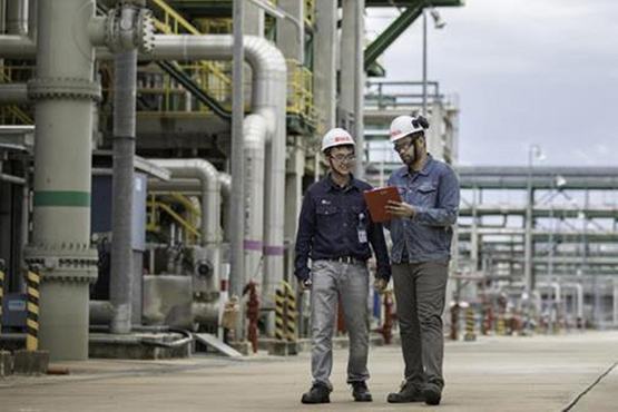 Sinh viên Việt Nam thực tập trong môi trường quốc tế