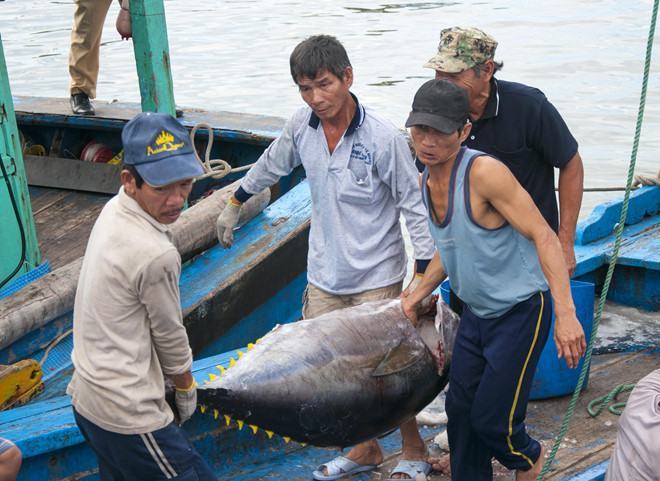 Học cách nỗ lực thoát thẻ vàng của Hàn Quốc, Philippines…