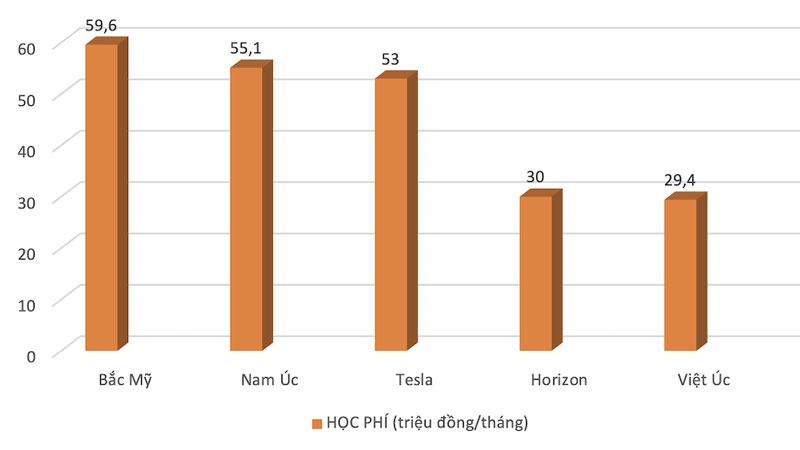 Học phí của 85 trường tư thục ở TP.HCM, cao nhất 60 triệu đồng/tháng