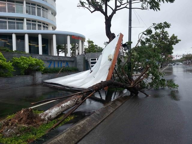 Học sinh Đà Nẵng nghỉ học tránh bão