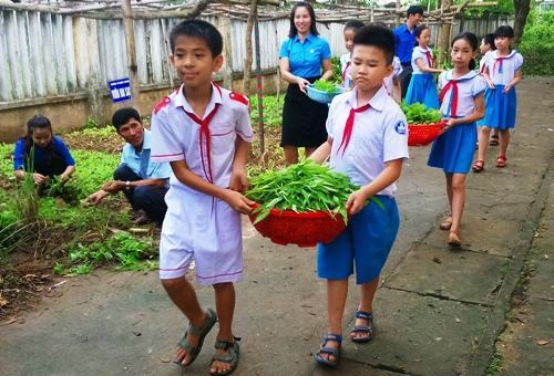 Học sinh tiểu học trồng rau bán lấy tiền giúp bạn