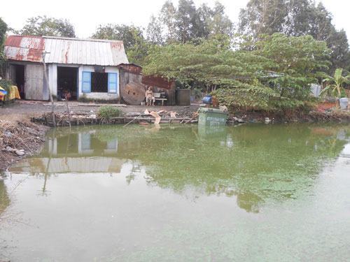 Góp ý dự thảo báo cáo chính trị Đại hội Đảng bộ TP.HCM lần thứ X: Kẹt, ngập, ô nhiễm… phải được “xóa trắng”