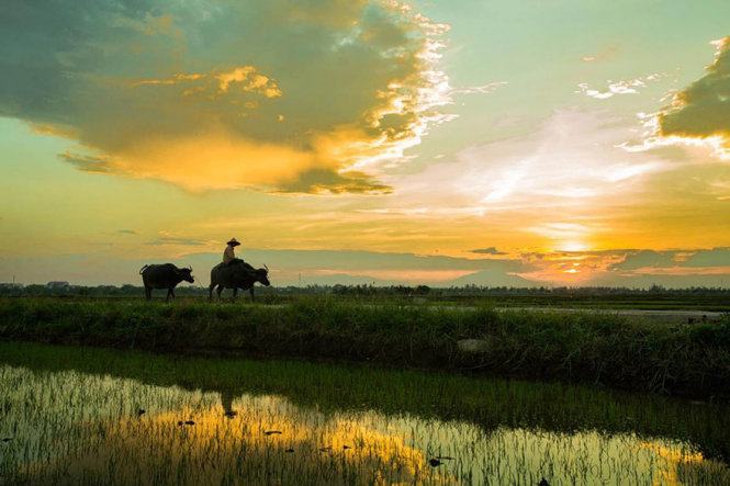 Bức tranh chiều làng quê ở Hội An - Ảnh: Réhahn