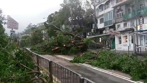 Hồng Kông ngổn ngang vì siêu bão Mangkhut - ảnh 1