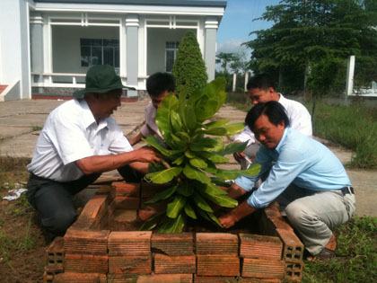 Bộ đội Trường Sa tặng cây bàng vuông cho trường học