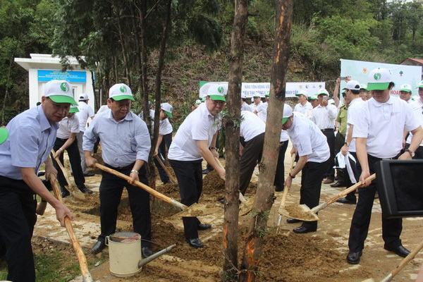 Trồng cây hưởng ứng Ngày Môi trường Thế giới