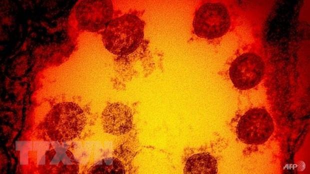 Israel va Singapore xac nhan truong hop dau tien nhiem bien the moi hinh anh 1