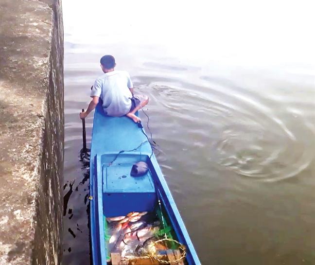 Kenh Nhieu Loc thanh ngu truong tan diet ca