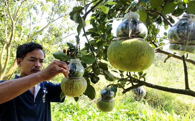 Khách TP.HCM chuộng hàng “độc” miền Tây