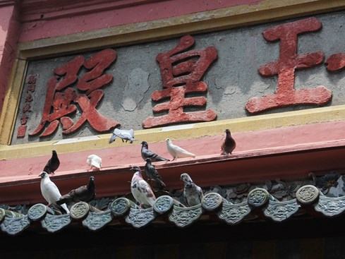 Một trong những góc bình yên tại chùa