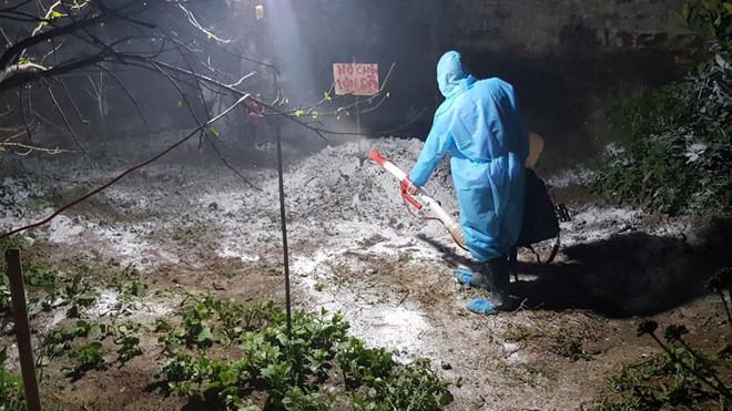 Khẩn cấp ngăn dịch tả lợn châu Phi lan vào nam