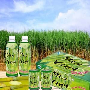 Khởi nghiệp lớn từ ý tưởng nhỏ