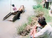 Khởi tố người bỏ mặc 2 trẻ em chết đuối