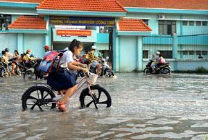 Không để dân khổ vì triều cường