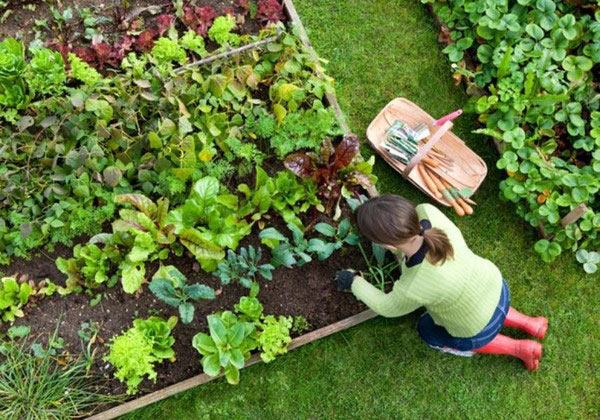 Đôi giày có thể bao bọc chân an toàn để tránh trường hợp rủi ro chứ không phải dép tông