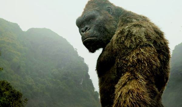 “Kong” thu về 142,6 triệu USD toàn cầu sau tuần đầu công chiếu