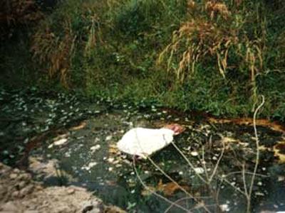 Kỳ 2: Nước mắt cảnh sát bên thi thể cậu bé bị bắt cóc