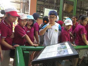 Kỷ luật không nước mắt