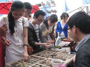 Kỹ năng chưa “phủ sóng” rộng