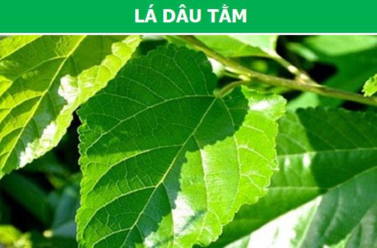 Lá dâu tằm