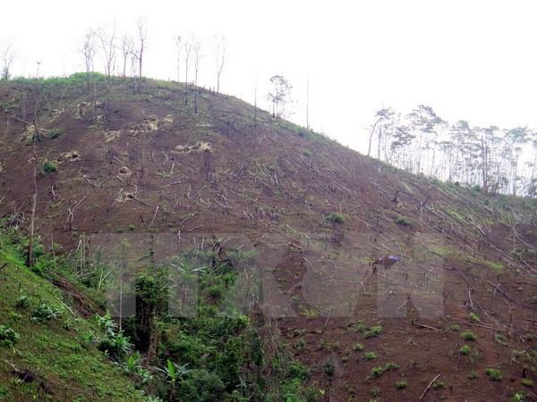 Lại tiếp tục xảy ra hiện tượng rung lắc nhẹ tại Mường Nhé