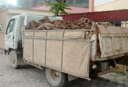 Lái xe đổ trộm phế thải bị bắt quả tang