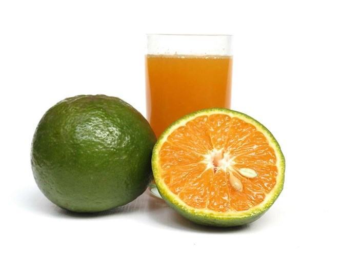 Làm sao để giảm cơn ho?