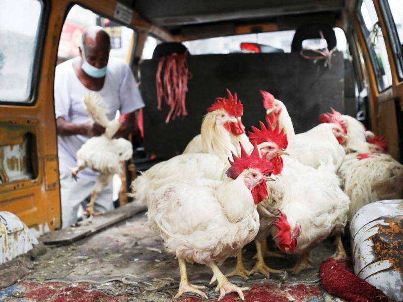 Làn sóng “chủ nghĩa dân tộc về lương thực” ở châu Á