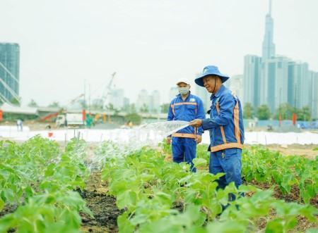 TP.HCM tăng cường các giải pháp đảm bảo an toàn lao động