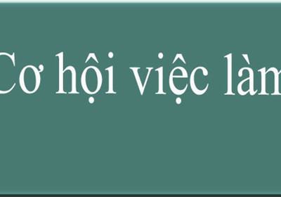 Lao động ở thị trường hẹp tiềm năng