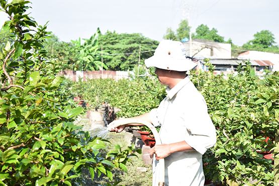 Lao động nông thôn vẫn ngại học nghề