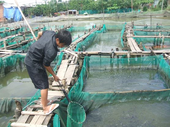 Viết tiếp bài báo Khó “giải cứu” lao động trẻ em