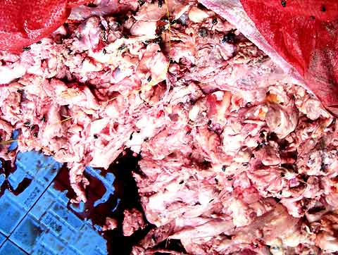 Lật tẩy lò mỡ bẩn đầu tiên tại Bình Dương