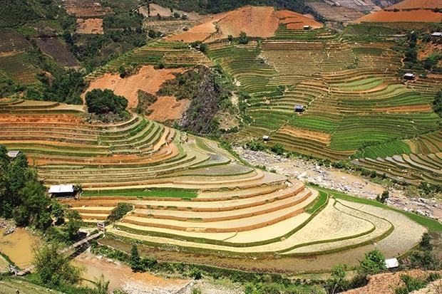 Le hoi kham pha danh lam thang canh Ruong bac thang Mu Cang Chai hinh anh 1