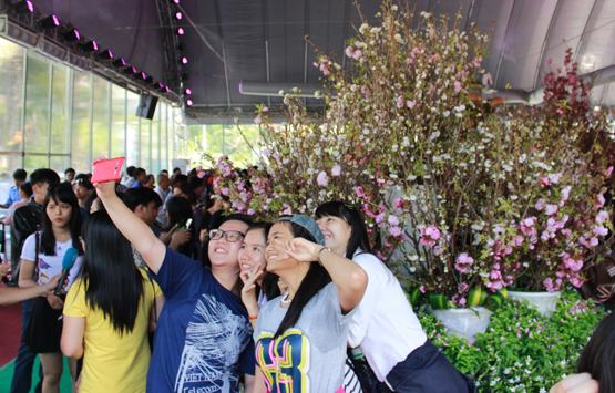 Hàng ngàn người đến với Lễ hội hoa anh đào