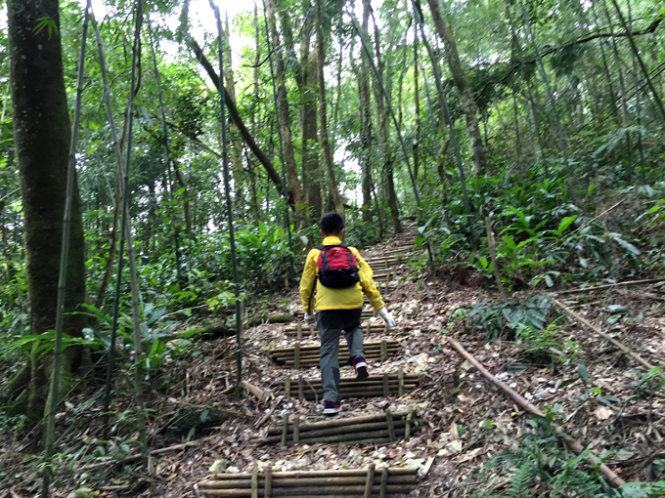 Một tuyến trekking khá phù hợp cho các em nhỏ trải nghiệm - Ảnh: Băng Giang