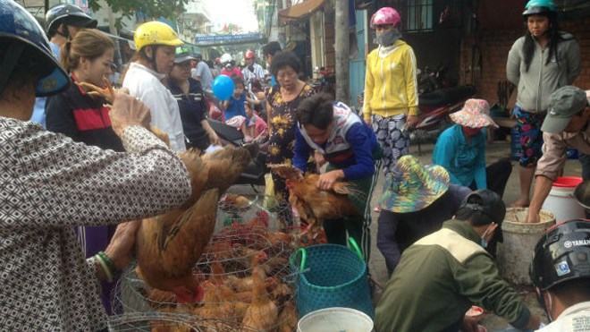 Lơ là với dịch cúm gia cầm