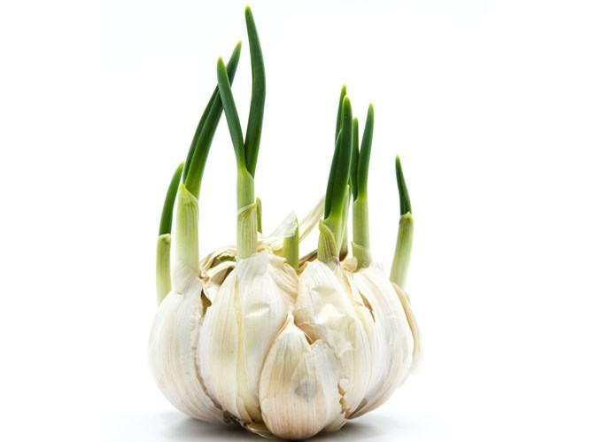 /// Ảnh: Shutterstock