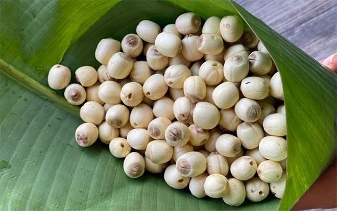 Hạt sen trong y học cổ truyền gọi là liên nhục, còn có các tên gọi khác như liên tử, liên thực...