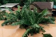 Người dân Quảng Trị khẩn trương di dời đồ đạc tránh lũ - Ảnh: Nguyễn Phúc