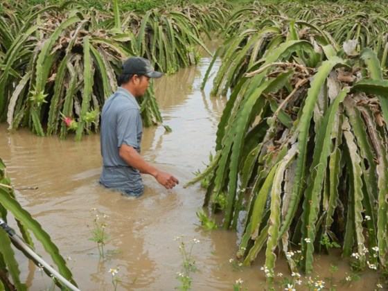 Bình Thuận: Lũ về đột ngột, người dân không kịp trở tay ảnh 2